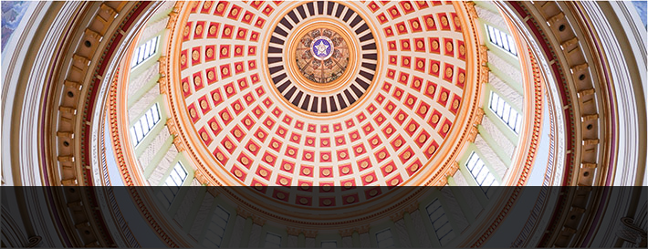 The ceiling of the capitol building.