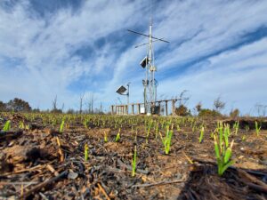 Researchers and electric cooperatives team up to strengthen Oklahoma’s power grid